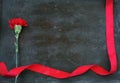 One red carnation on black metal scratched background, scarlet silk ribbon