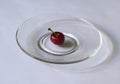 One red cherry in the center of the plate Royalty Free Stock Photo