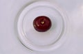 One red cherry in the center of the plate Royalty Free Stock Photo