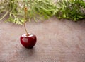 One red cherry on a dark background selected sharpness. copy space Royalty Free Stock Photo