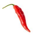 One red chili pepper isolated white background. Close-up Royalty Free Stock Photo