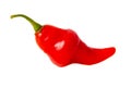 One red chili pepper isolated white background. Close-up Royalty Free Stock Photo