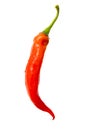 One red chili pepper isolated white background. Close-up Royalty Free Stock Photo