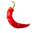 One red chili pepper isolated white background. Close-up Royalty Free Stock Photo