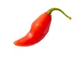 One red chili pepper isolated white background. Close-up Royalty Free Stock Photo