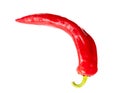 One red chili pepper isolated white background. Close-up Royalty Free Stock Photo