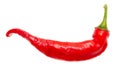 One red chili pepper isolated white background. Close-up Royalty Free Stock Photo