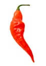 One red chili pepper isolated white background. Close-up Royalty Free Stock Photo