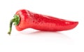 One red Cuban (cubanelle) pepper Royalty Free Stock Photo