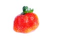 One red fresh sweet large strawberry Royalty Free Stock Photo