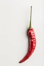 One red hot chili pepper top view on white background with copy space