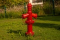 Red iron retro fire cock on green lawn