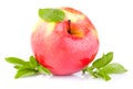 One red juicy apple with green leaves and drops Royalty Free Stock Photo