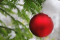 One red New Year`s ball hangs on a fir-tree snow Royalty Free Stock Photo