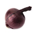 One red onion head isolated on the white background Royalty Free Stock Photo