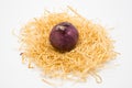 Onion on the nest with white background