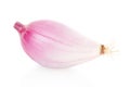 One red onion, Tropea type on white Royalty Free Stock Photo