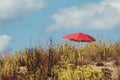 One red parasol with white dots in a green and dry grass on a sand beach Selective focus Royalty Free Stock Photo