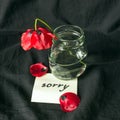 One red poppy flower broken on dark background. Note of apology- Sorry, please forgive me.