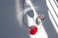 One red poppy flower on white table with contrast sun light and shadows and wine glass with water closeup top view Royalty Free Stock Photo