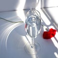 One red poppy flower on white table with contrast sun light and shadows and wine glass with water closeup top view Royalty Free Stock Photo