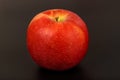 One red ripe apple close up on a black Royalty Free Stock Photo