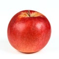 One red ripe apple close up Royalty Free Stock Photo