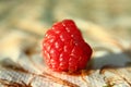 One red ripe raspberry fruit on the table Royalty Free Stock Photo