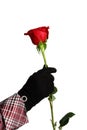 One red rose in hand Royalty Free Stock Photo