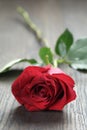 One red rose on oak wood table Royalty Free Stock Photo