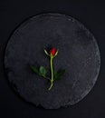 One red rose on a round stone slab on a black background Royalty Free Stock Photo