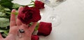One red rose and a silver ring with white big stone on human hand Royalty Free Stock Photo