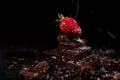 One red straberry on a dark chocolate Royalty Free Stock Photo