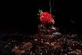 One red straberry on a dark chocolate Royalty Free Stock Photo