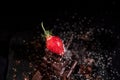 One red straberry on a dark chocolate