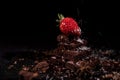 One red straberry on a dark chocolate Royalty Free Stock Photo