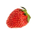 One red strawberry close up isolated Royalty Free Stock Photo