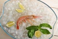 One red tiger shrimp with lime on ice Royalty Free Stock Photo