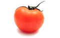 One red tomato