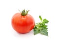 One red tomato Royalty Free Stock Photo