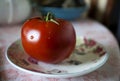 One red tomato on a saucer