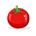 One red tomato on white background. Fresh glossy vegetable. Vector cartoon illustration Royalty Free Stock Photo