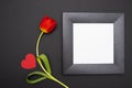 One red tulip, heart and black frame with white background Royalty Free Stock Photo