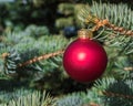 Single red and white satin Christmas ornament hanging in a pine tree