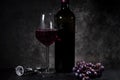 One red wine glass with wine bottle and grape fruits on a wooden background, close up, still life photography Royalty Free Stock Photo