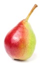 One red-yellow pear on white background Royalty Free Stock Photo