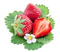 One rich strawberry fruit isolated on a white. Royalty Free Stock Photo