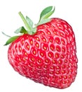 One rich strawberry fruit. Royalty Free Stock Photo