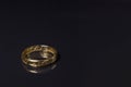 One Ring from lord of the rings Royalty Free Stock Photo