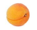 One ripe apricot (isolated) Royalty Free Stock Photo